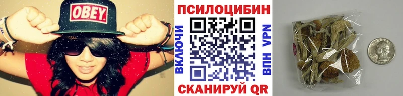 Псилоцибиновые грибы Psilocybe наркотики сайты даркнета телеграм Куртамыш